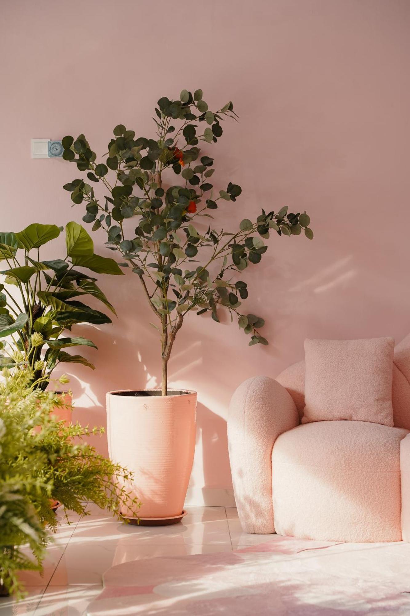 Pink Cabana Hotel George Town  Kültér fotó